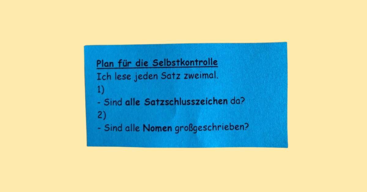 Plan für die Selbstkontrolle: Satzzeichen, Großschreibung von Nomen